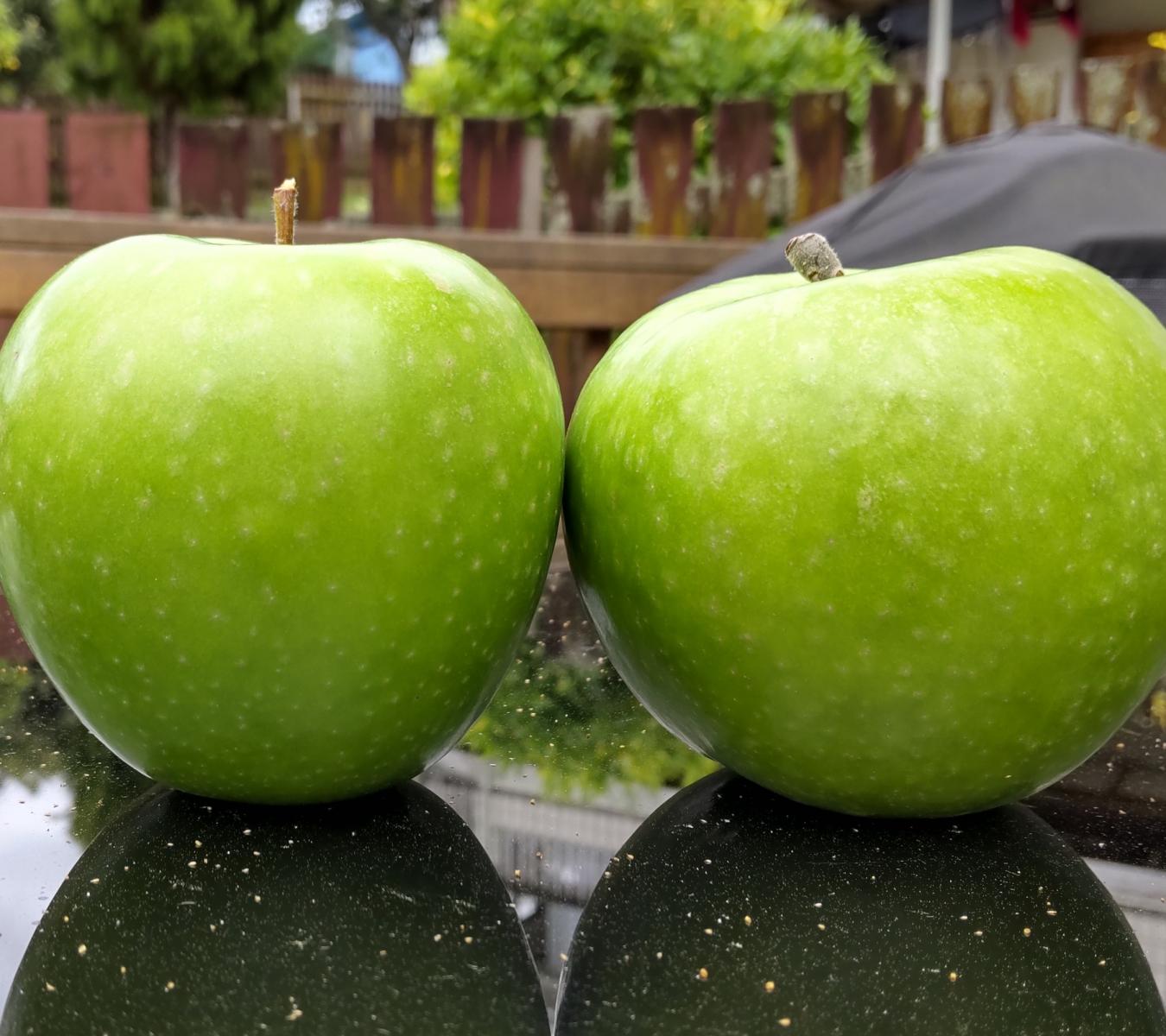 Mt Erin New Zealand Apples - Wholesale Granny Smith 4