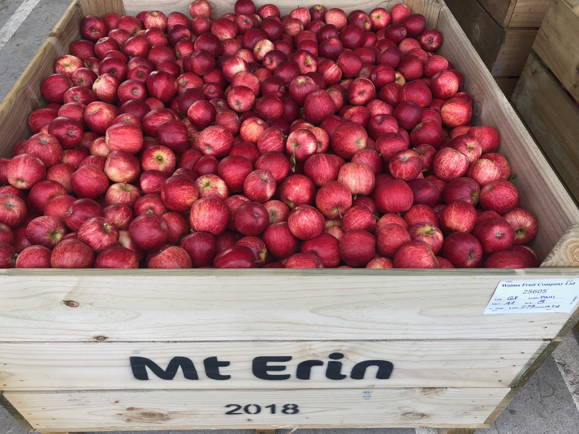 https://mterinapples.co.nz/assets/Images/Gallery-Images/Mt-Erin-New-Zealand-Apples-Wholesale-Royal-Gala-2.jpg